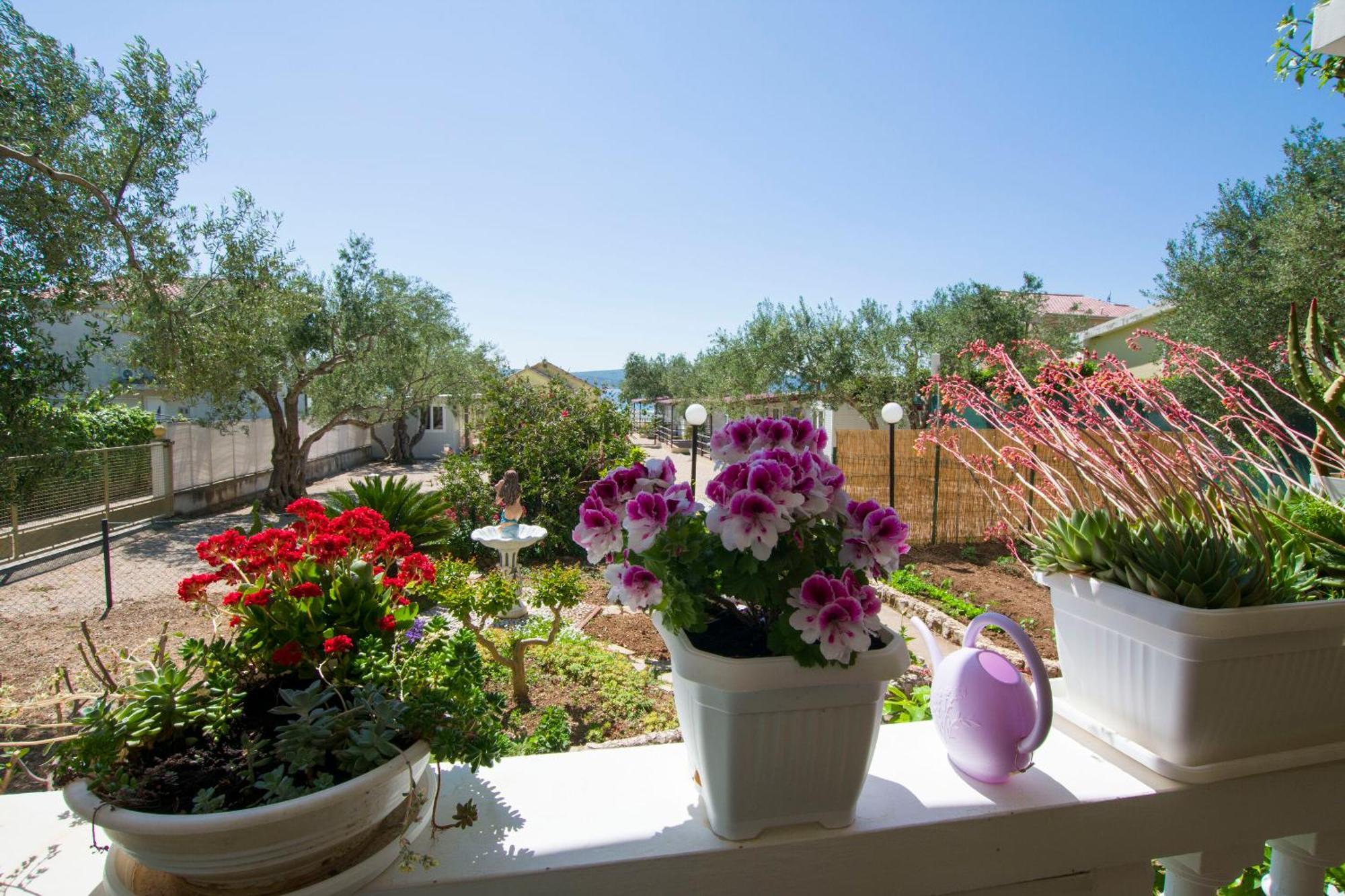 Mobile Home Dandelion Biograd Na Moru Exterior foto
